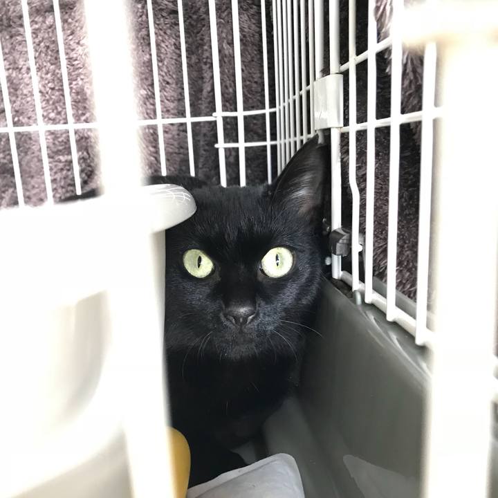 73eee333 fe83 469b 8244 97e2d5e5b0df 1509411651152