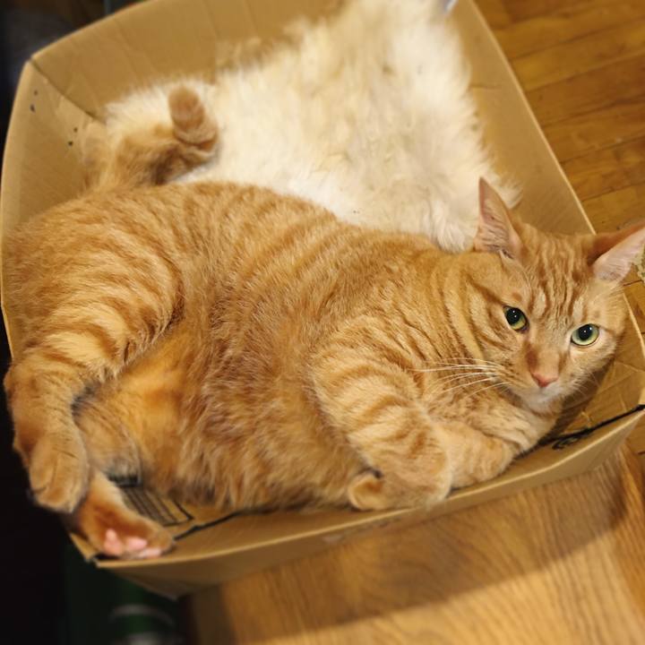 73eef1cd 36bb 41c4 b38d 01d5030236bb 1599982965816