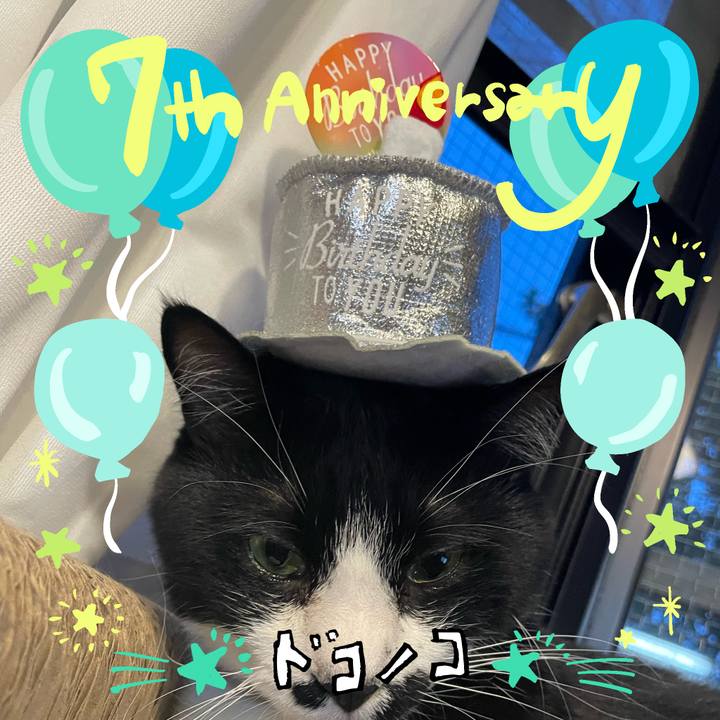 73ef382d b994 453a 9fcc 346fb7bcd01f 1686017103619