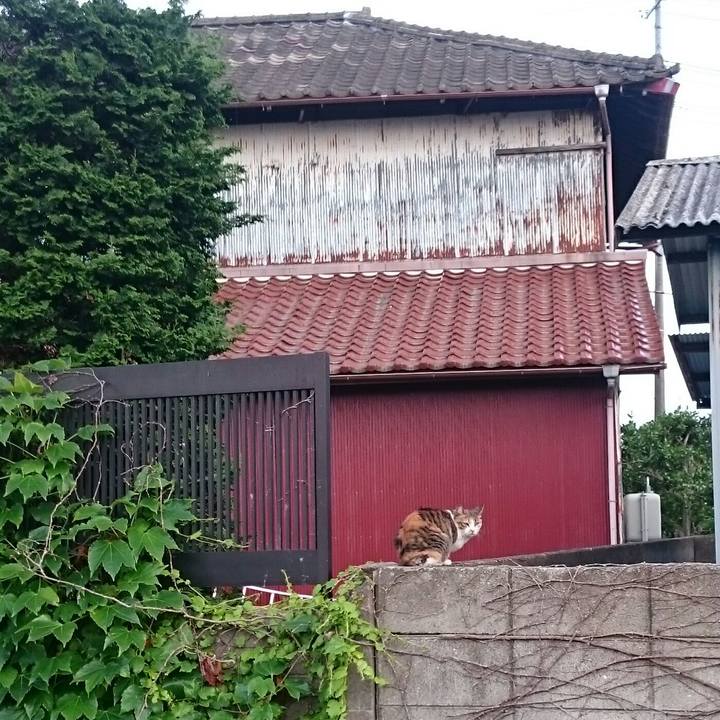 73ef56c0 cba1 426c a5a8 b275fc8e8c5b 1529537084955