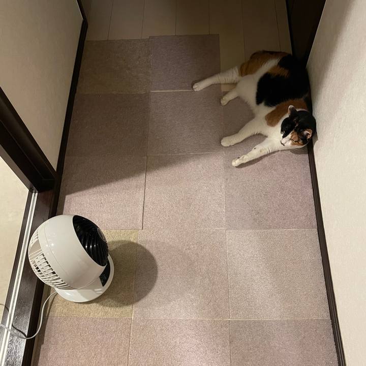 73ef6d8b 174d 49d4 836b be89b37b56ea 1754254377038