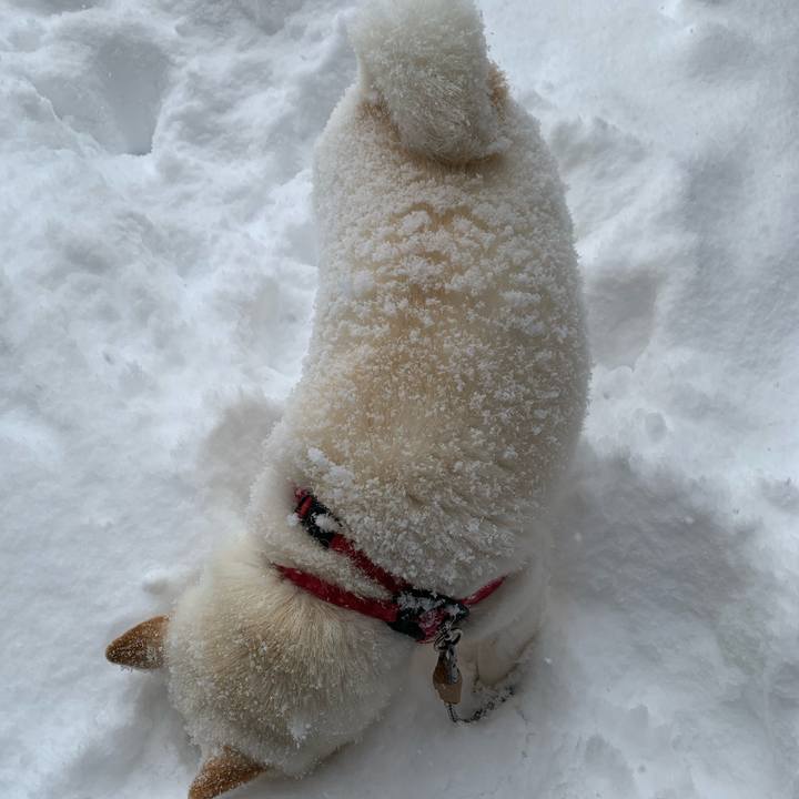 73ef799d d0ab 4c72 b363 131715702137 1581379208382