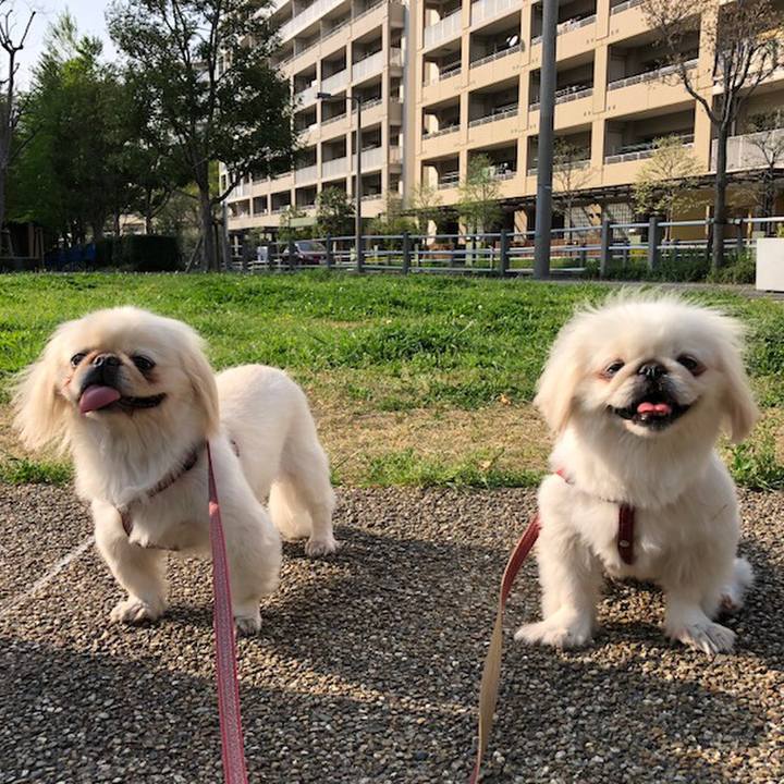 73ef7a63 9d3c 4d1d bb77 83daf97b10de 1522827317869