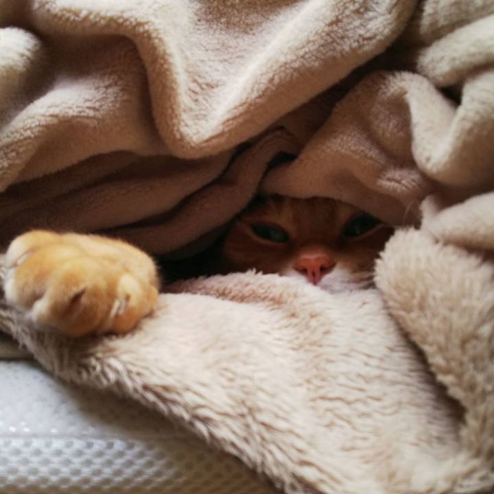 73efae6b 6efa 4743 9087 8b391c0bbbc3 1638058381520