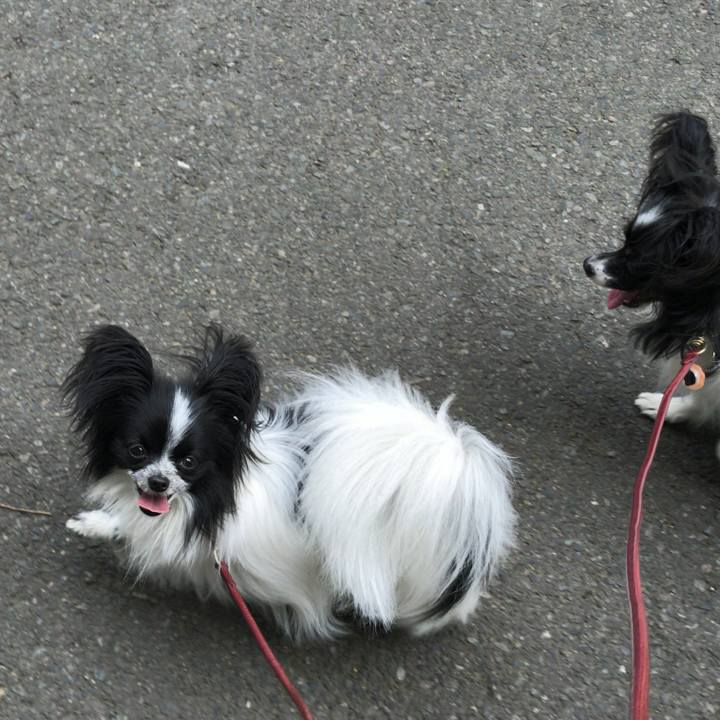 73efd827 5258 4d97 9a86 0807b6315f3d 1523075401708