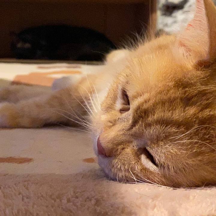 73effb9d d606 4064 aab6 4e0fe0f2ddee 1601819846765