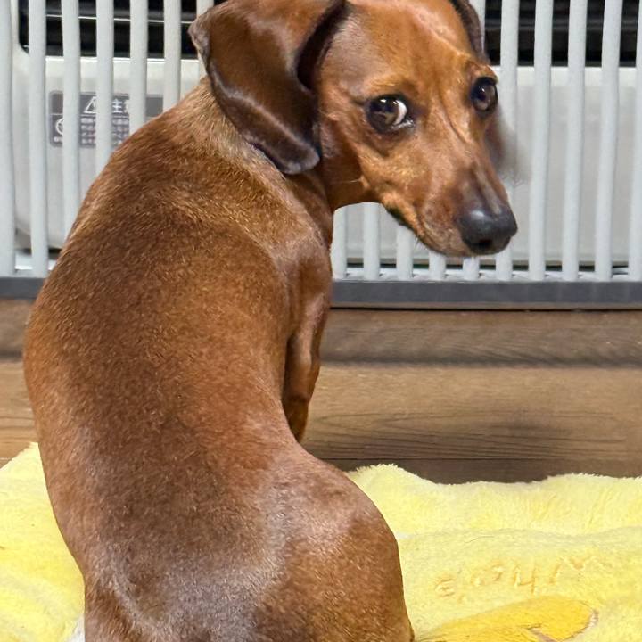 73effc90 d36b 408c 8990 1da3e15c1d0e 1763560959230