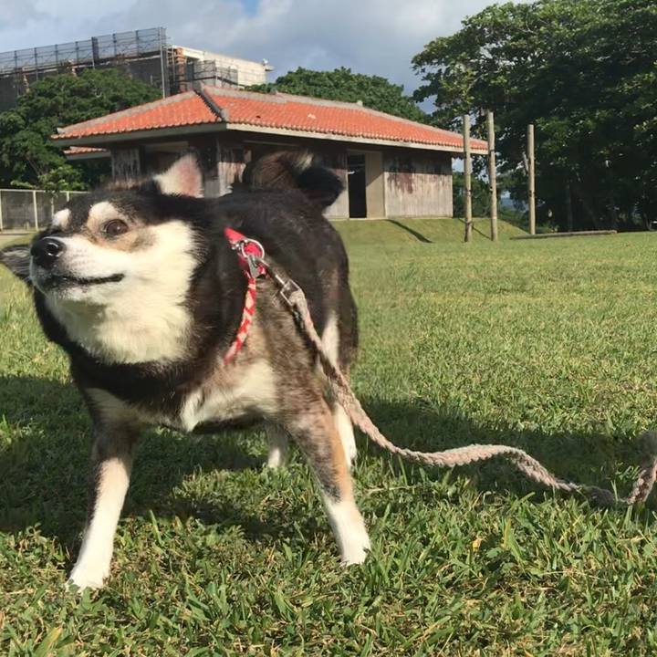 73f01959 bdc9 4c48 82f1 0f27d9960453 1636939018854