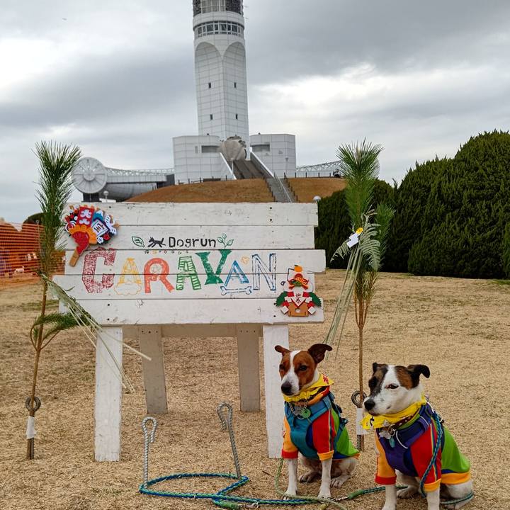 73f029d3 63a9 47ca 870b 17f81296b62b 1641784447926