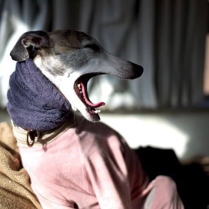 73f05163 b9f7 4488 8e48 a5b83cfad335 1516013005198