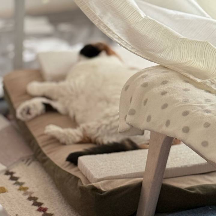 73f05a3f 74e3 404e 923e 675dbeea6c10 1765225886134