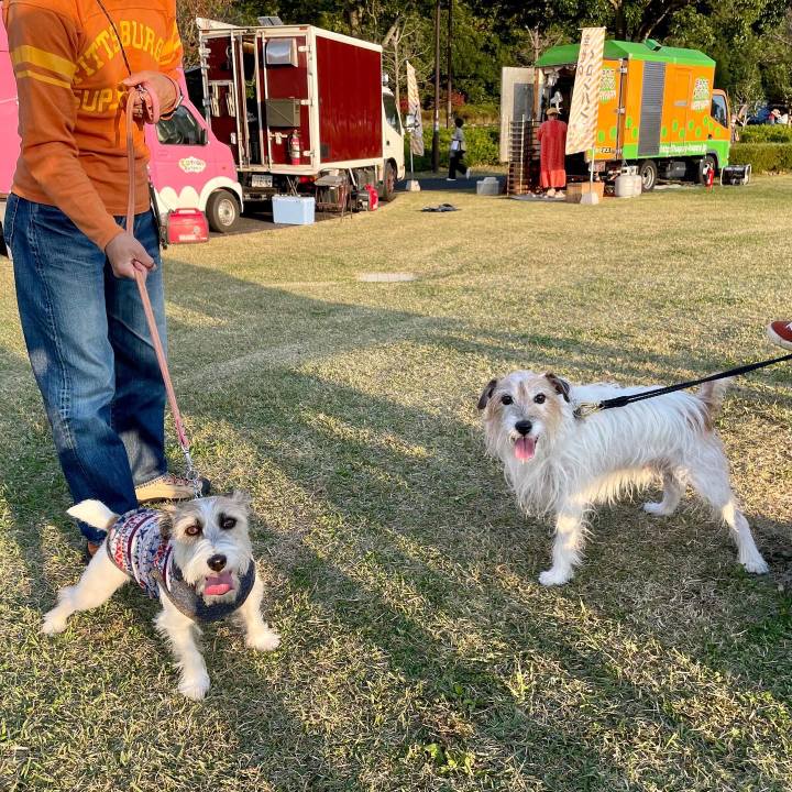 73f0661e bb3e 4c72 a30b 1657d6052f7b 1668256781368