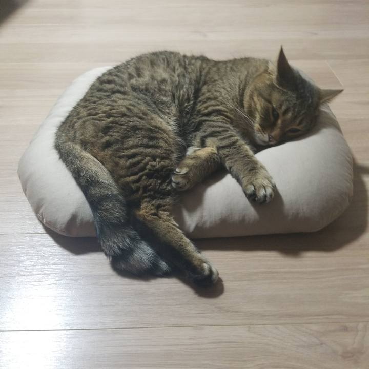 73f0a4c7 3887 451e 9e72 a1a869ecdfc4 1592483436319