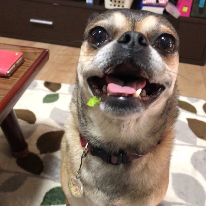 73f0a807 fe88 4525 b923 9689be37f1fd 1524389034856