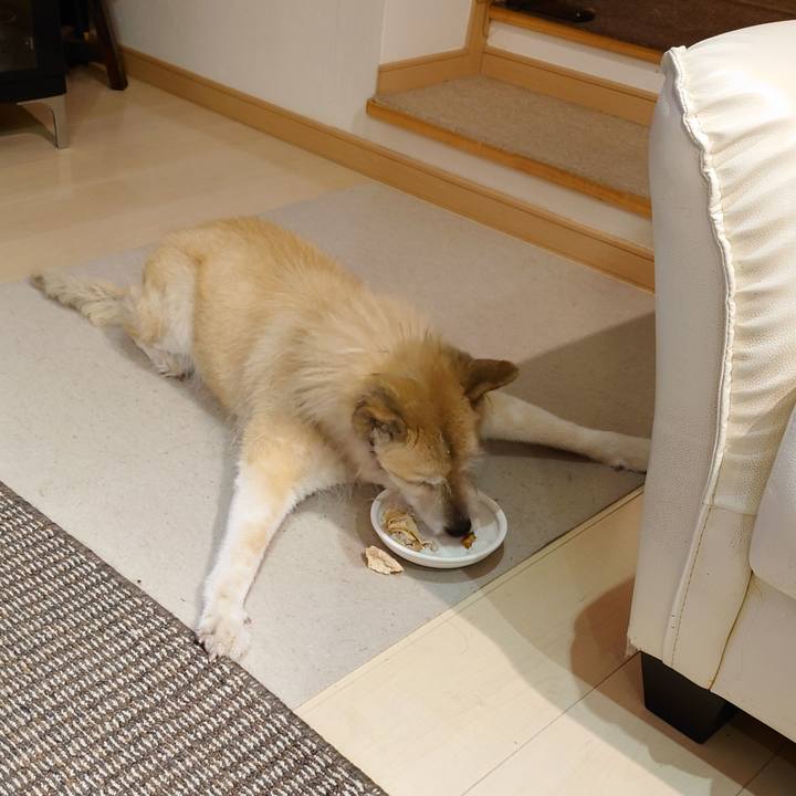 73f0c24b efa8 4ba5 a66b 83b3d2bbb5d0 1613356754154