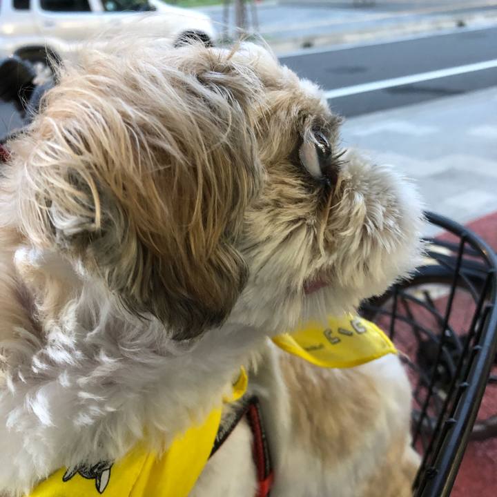 73f0e55e b56a 4804 b55c 669461b3e2ed 1566855789583