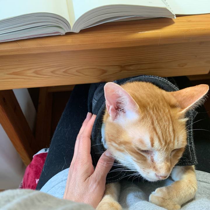 73f0f040 cd89 4f78 b986 e6cf67445ca7 1650059528396