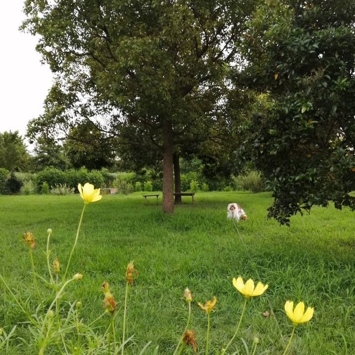 73f0f473 17d9 448d 8ab8 27a93137eacf 1566386193247