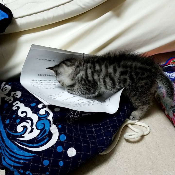 73f13dd7 8914 4e2a bb3d c0cfe14f3d6d 1661182568357