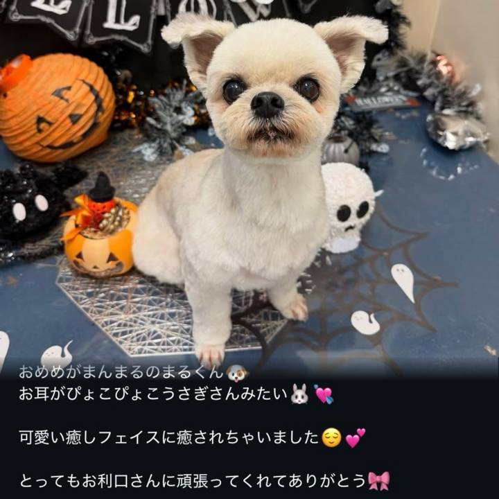 73f14487 7688 494f 9ba8 bcfe6cc5d7aa 1758807392900