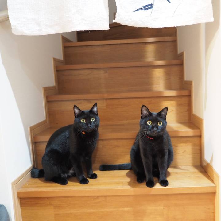 73f186e4 1311 423f 90c3 93931a610cde 1535068463206