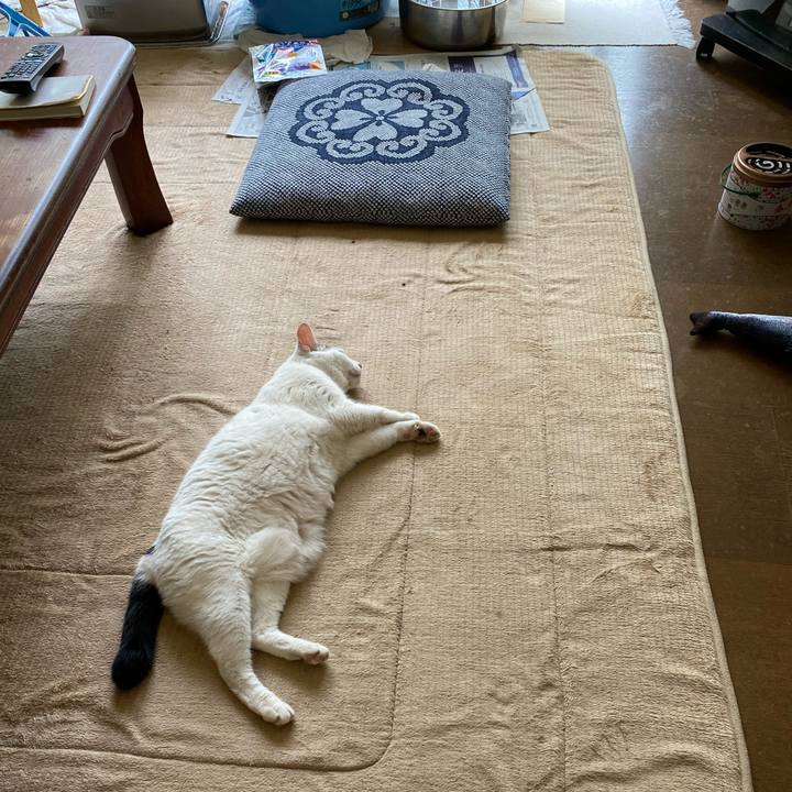 73f1a6e3 4729 4ac3 9435 b91710a6e8ec 1623130405726