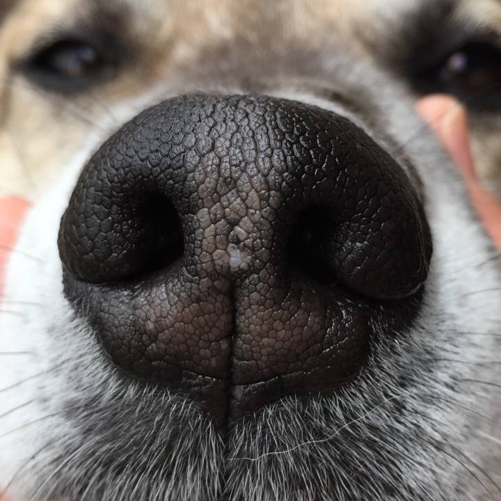 73f1ad5c e19e 4dec 8bc9 a8af649dcfe7 1523495139013