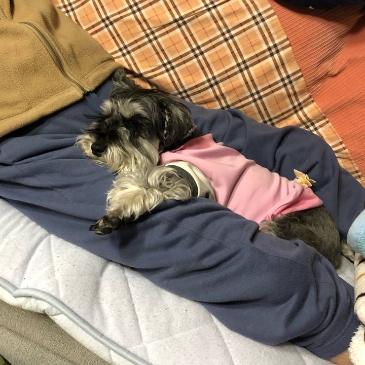 73f1db82 8287 42cf 9cde 4d9707f2ba9f 1680966499435