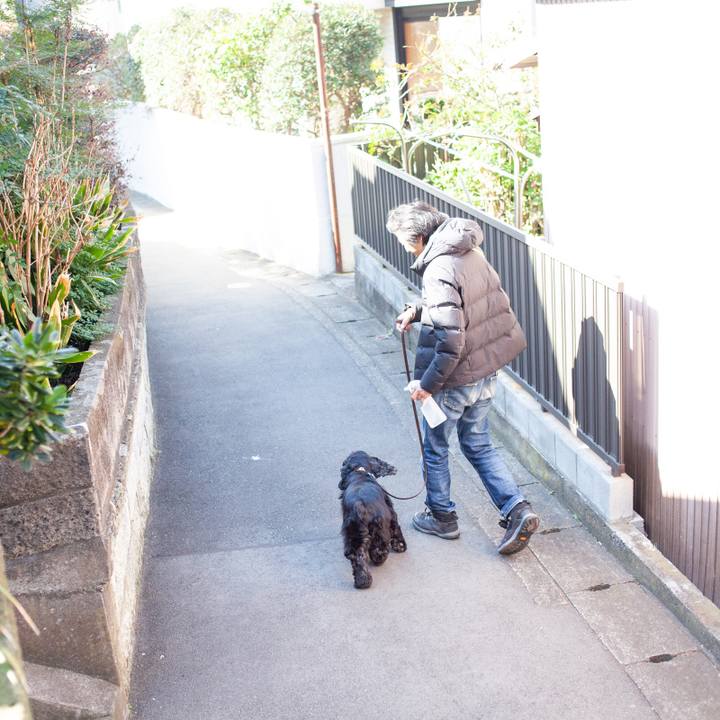 73f1e877 3c0e 429e ba93 731ed7f855d3 1550893196381