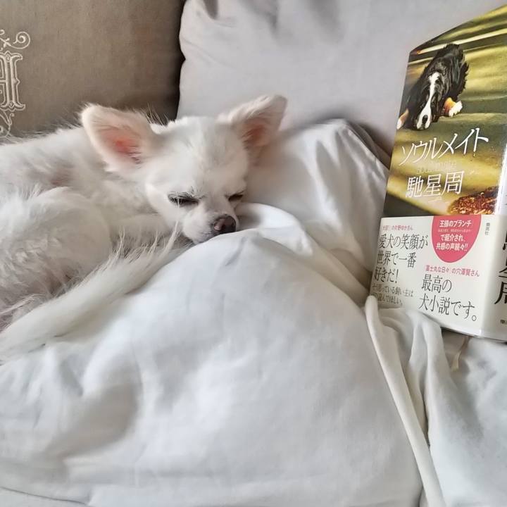 73f1ffca 5dbc 4aff a0a7 467c1fe969f1 1595474289995