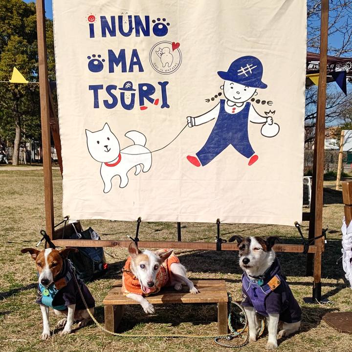 73f24937 6a62 4b22 84c5 a02dd4e074ca 1709453138406