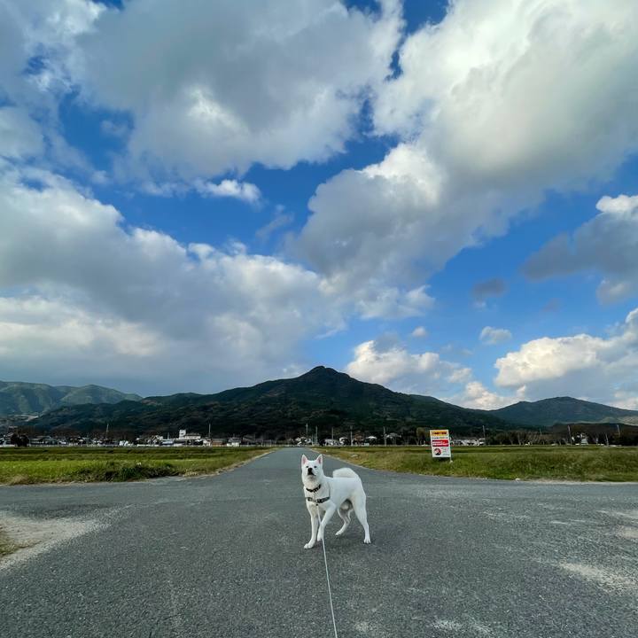 73f24f7f 79e2 4973 80d8 47f8d8941450 1606608845200