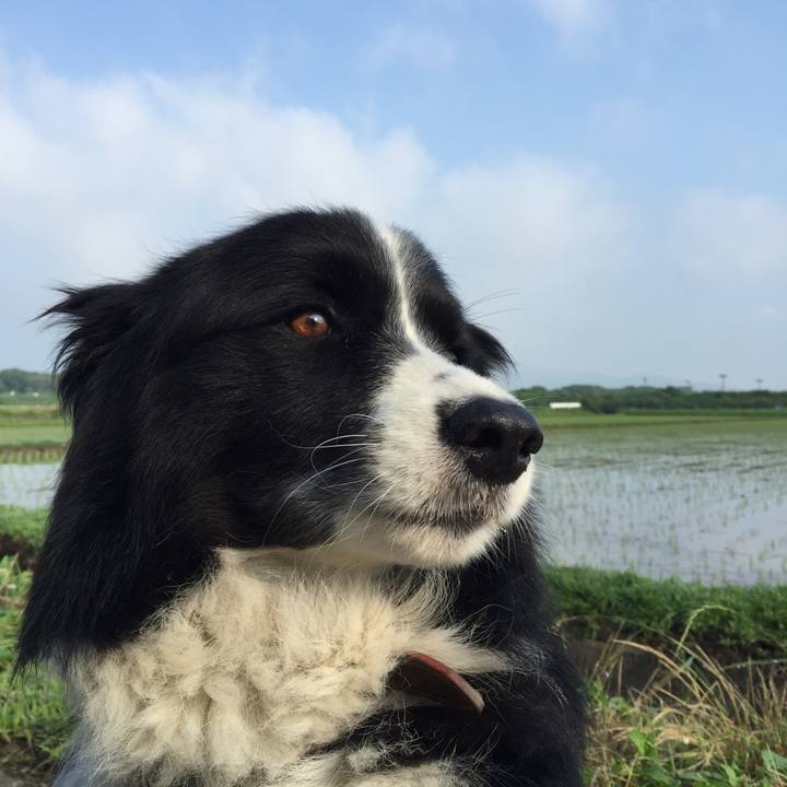 73f27a02 44ef 4e31 9f9f 05309ad643c3 1529792755929