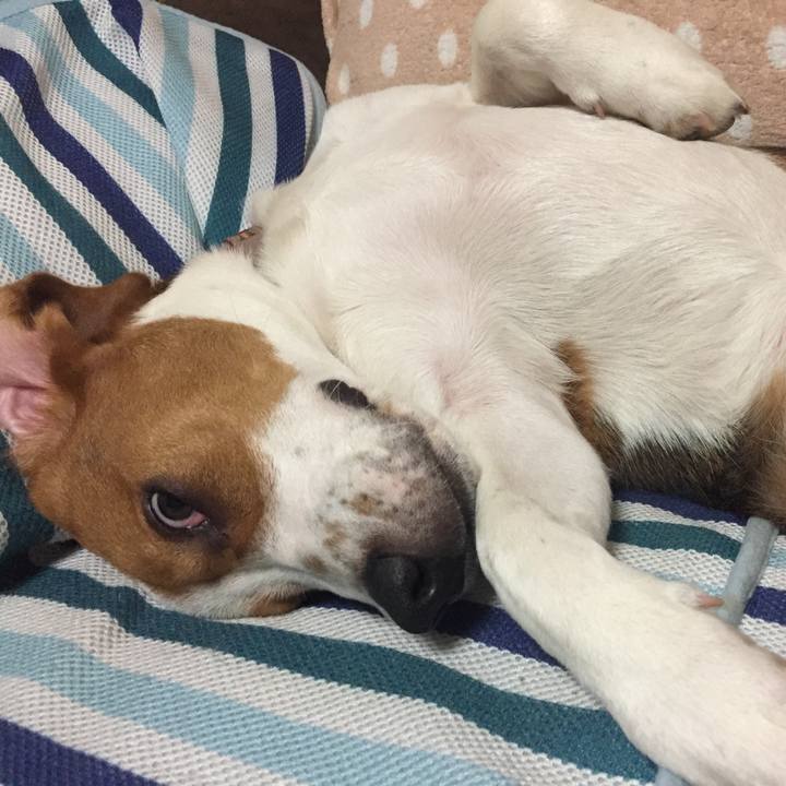 73f27b07 3127 4bb3 93d8 223c69fefdab 1524227232071