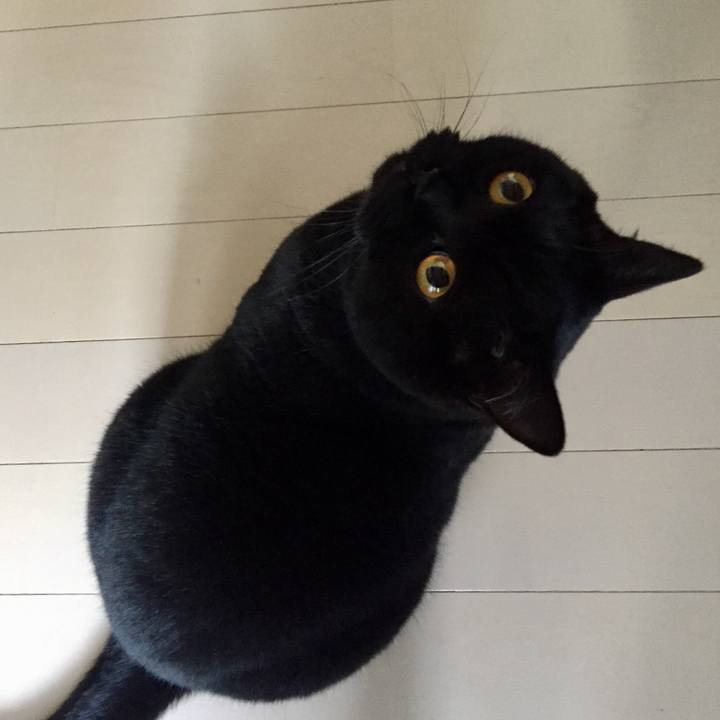 73f28e70 0fda 4987 9bae e122f5b73a51 1543796298291