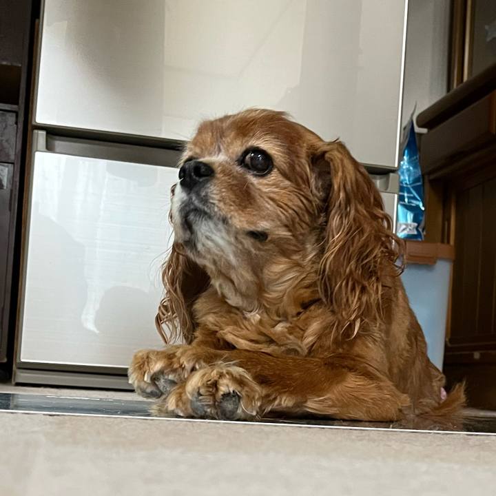 73f29e84 0310 4425 ac4d 4be3e03dd5f1 1753704161407