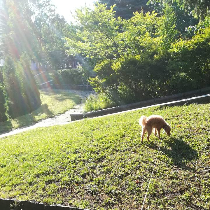 73f311d5 e799 4ac8 927f 66abe463eb61 1561327128238