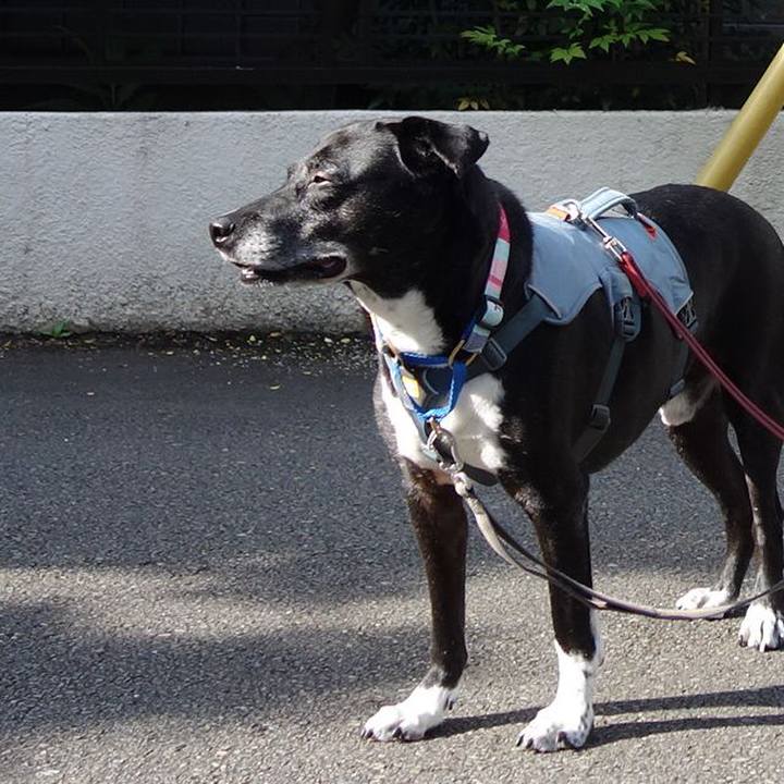 73f33de4 9d12 4af2 869e bbe943f2cb2c 1750032579804