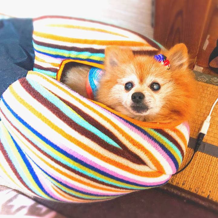 73f3da9d e774 4189 bab6 b1666535b494 1609330460851