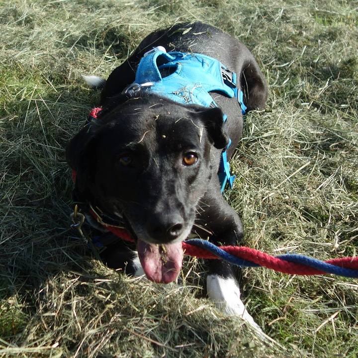 73f437c5 7b3e 4056 b055 6327e21afcd2 1632269749487