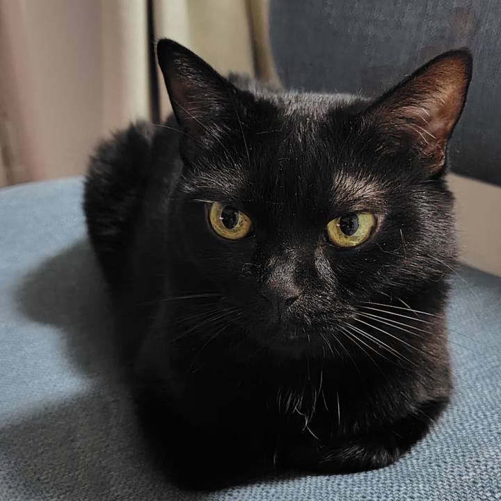 73f4401c 5430 4c36 b3d4 8ee349b2a711 1758102637653