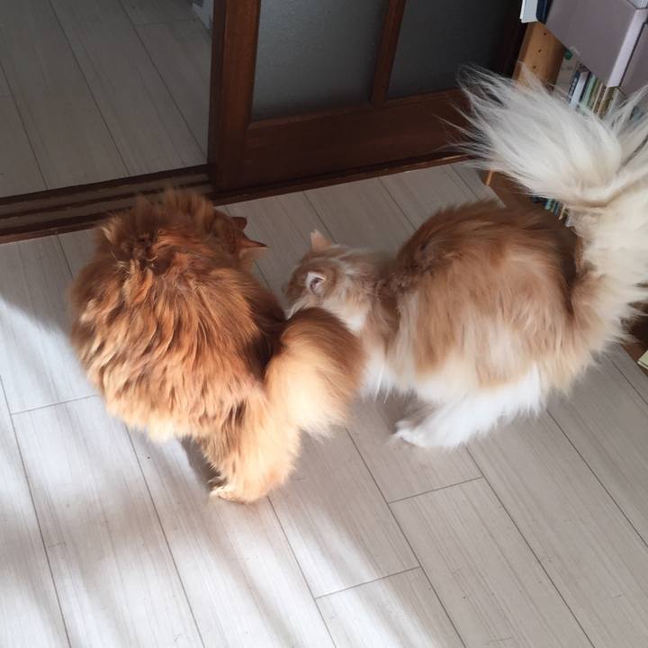 73f4437d b760 4a80 8018 e236e4923068 1519515162859