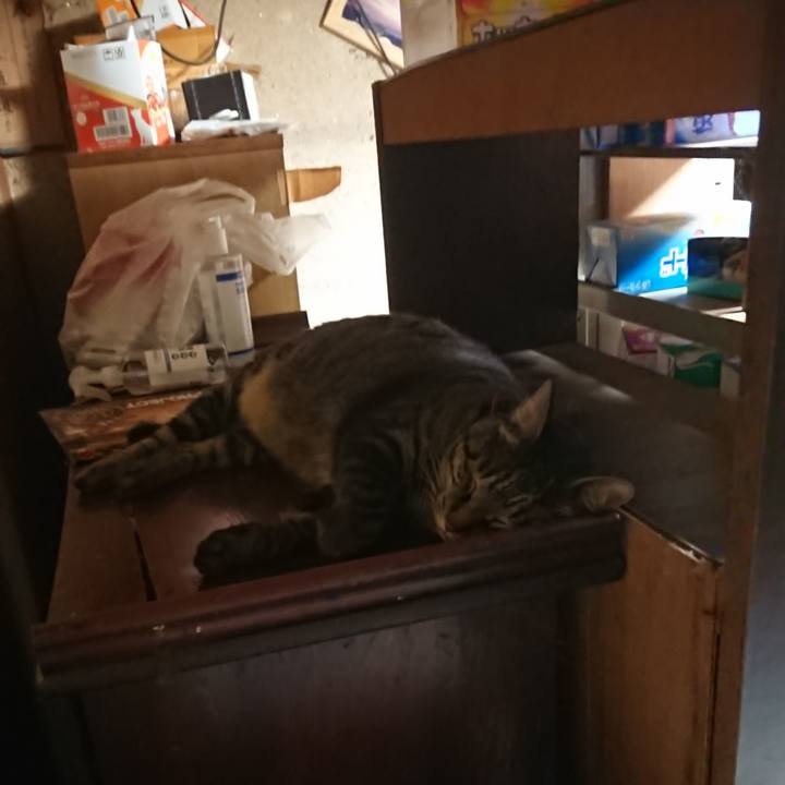 73f44493 9d59 469c bf93 9d3d9228168f 1660337787733