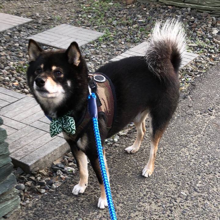 73f48884 ce9a 4dcd b617 49e3db950a3f 1528198515404