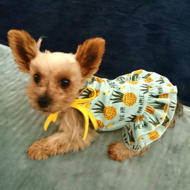 73f498ca 3019 4af7 9389 ca5f2c41d08a 1533965946699