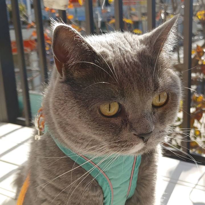 73f4e65d 7842 4e05 8276 c74aa1de058d 1669509249871