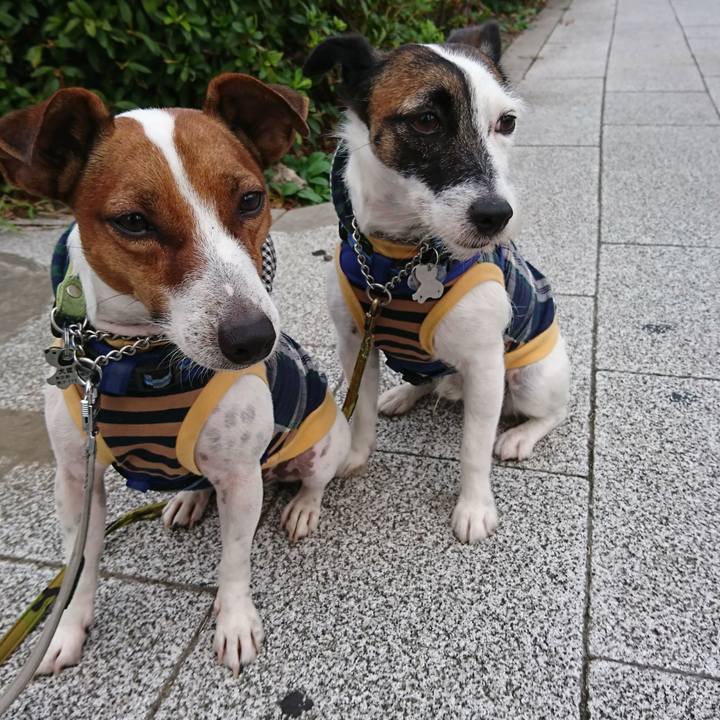 73f4f37d ab18 47f6 93fa 5cd812c6a0c1 1569967308462