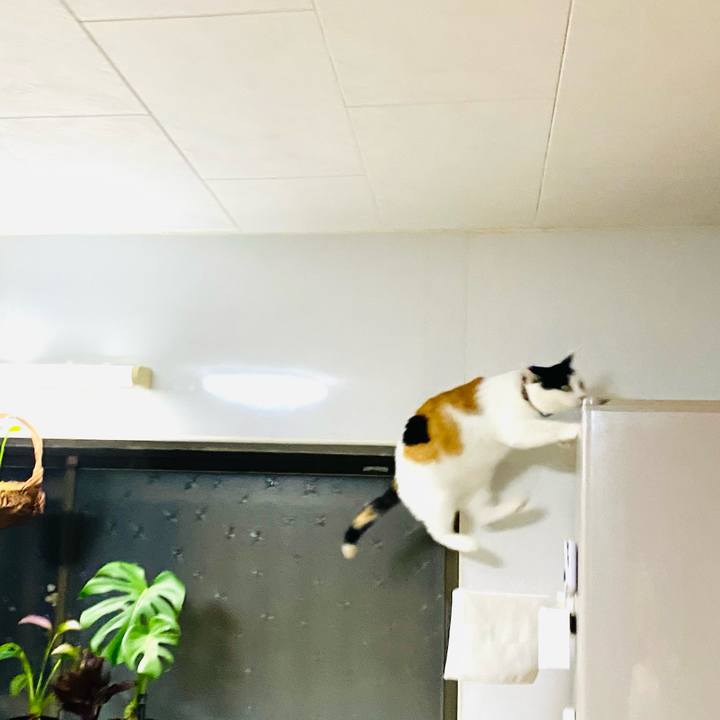 73f5024e 9f34 4586 9317 716268d746c2 1692286767371