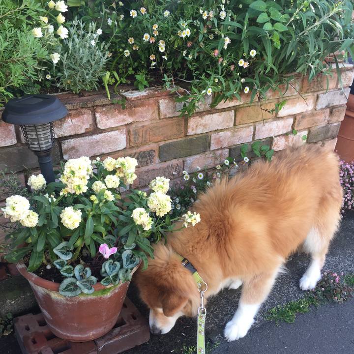 73f518ce 7454 4824 b69b 7ae6eb106799 1523926957305