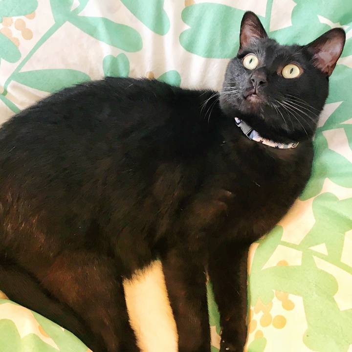 73f52d64 d5fa 4b06 a6a2 6482a62f41ba 1523436889039